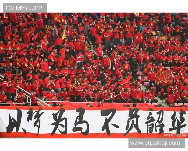 足球明星如何影响中国足球发展与未来潜力的深度探讨